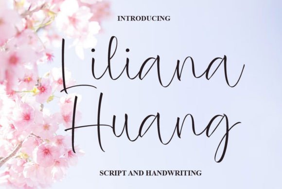 Liliana Huang: A Script Font for Elegant Brand Communication